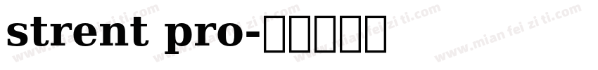 strent pro字体转换